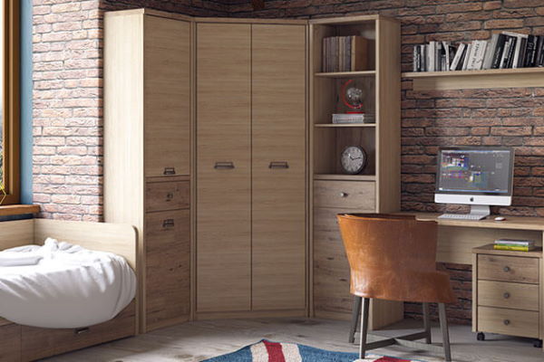 Фото Шкаф 2D1S/D1 Дизель (Diesel) от производителя Анрэкс в Нижнегорске по цене 16 500 ₽