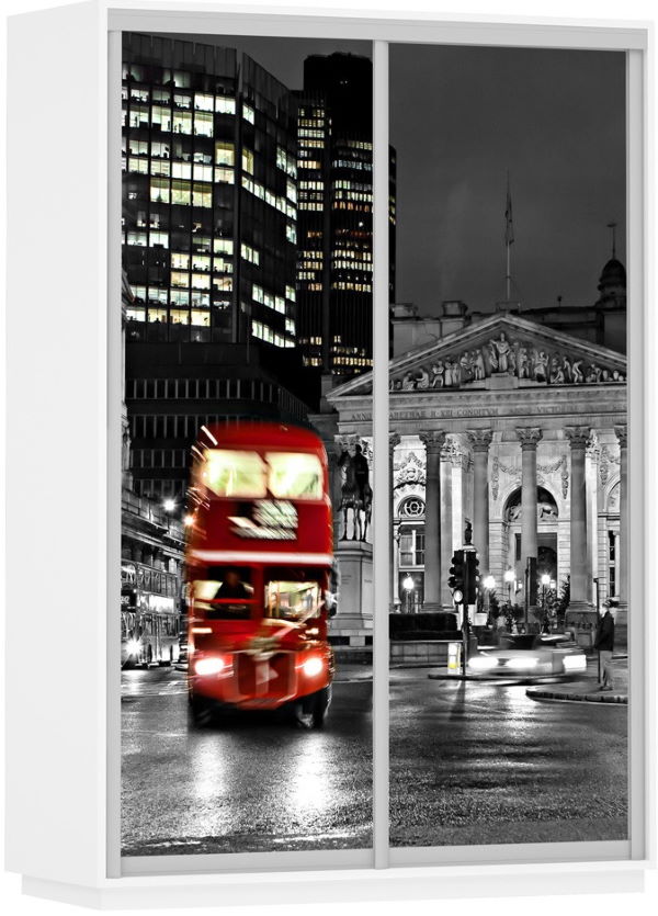 Фото Шкаф-купе Экспресс Дуо Фото (1,6х0,6х2,2 - 2 двери) от производителя Мебельная компания Е1 в Нижнегорске по цене 39 840 ₽