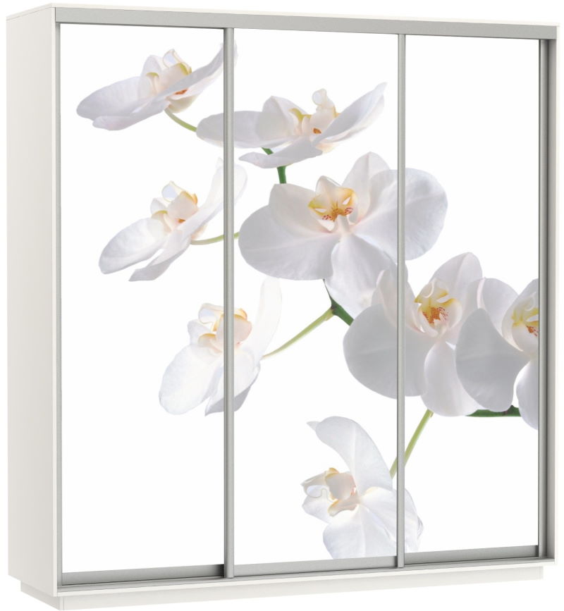 Фото Шкаф-купе Экспресс Трио Фото (2,4х0,6х2,4 - 3 двери) от производителя Мебельная компания Е1 в Нижнегорске по цене 63&nbsp;870 ₽