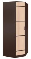 Шкаф Сакура (88) угловой (венге, лоредо-венге,(БТС)) в Нижнегорске от производителя 
